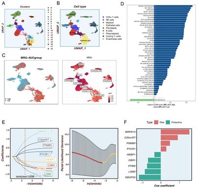 Single-cell sequencing unveils mitophagy-related prognostic model for triple-negative breast cancer